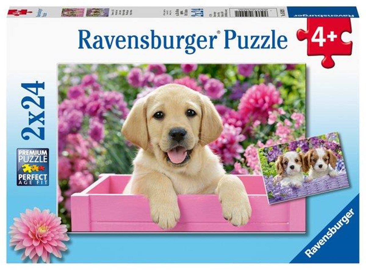 Ravensburger 2x24 Parça Puzzle Friends 050291 | Toysall