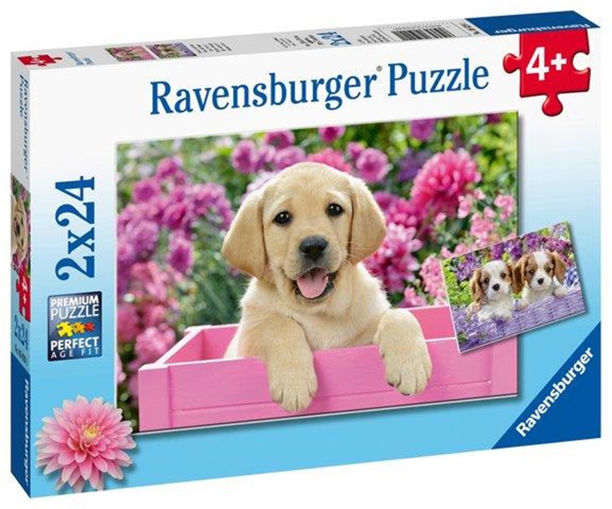 Ravensburger 2x24 Parça Puzzle Friends 050291 | Toysall