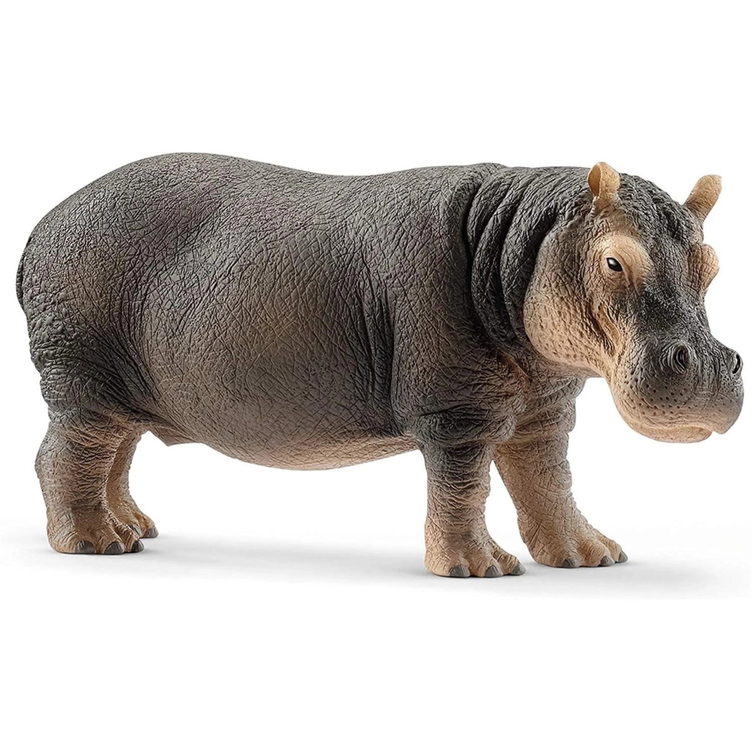 Schleich Su Aygırı 14814 | Toysall