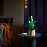 Lego Botanicals Barış Çiçeği 11504