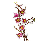 Lego Botanicals Manolya Dalları 11510