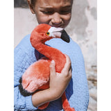 Bon Ton Toys WWF Flamingo Peluş Oyuncak 23 cm - 9" 15170024 | Toysall