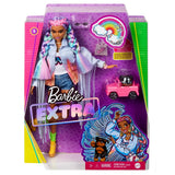 Barbie Extra Renkli Örgü Saçlı Bebek GRN29 | Toysall