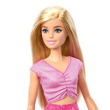 Barbie Family & Friends Malibu Bebek ve Aksesuarları JMJ47