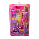 Barbie Family & Friends Malibu Bebek ve Aksesuarları JMJ47