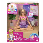 Barbie Meditasyon Yapıyor Oyun Seti HHX64 | Toysall