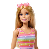 Barbie Paten Eğlencesi Sarışın Bebek ve Sevimli Köpek Oyun Seti JMJ44