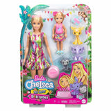 Barbie ve Chelsea Kayıp Doğum Günü Oyun Seti GTM82 | Toysall