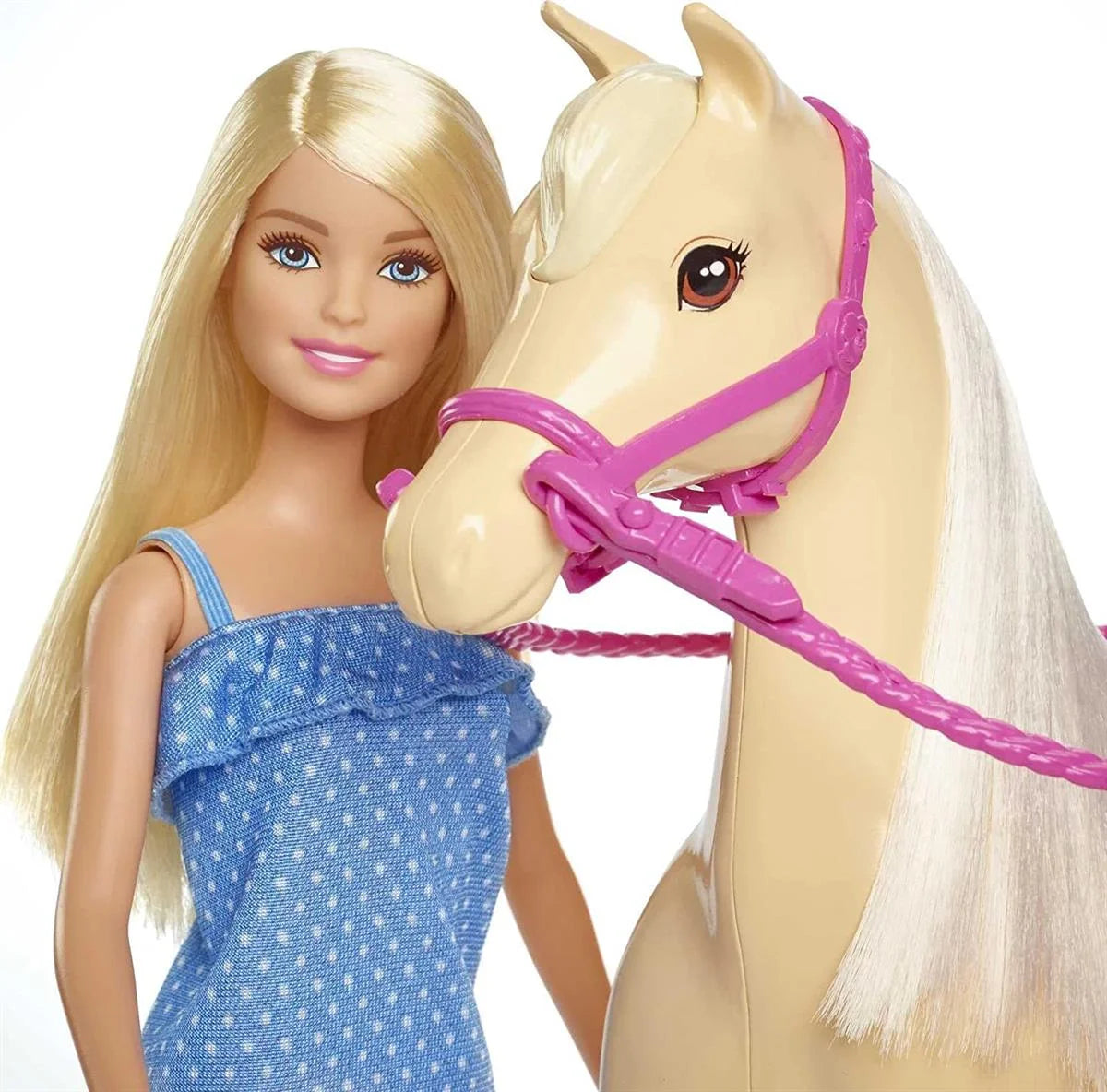 Barbie ve Güzel Atı Oyun Seti FXH13 | Toysall