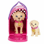 Barbie ve Köpekçikleri Oyun Seti HKD86 | Toysall