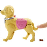Barbie ve Tuvalet Eğitimindeki Köpeği DWJ68