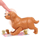 Barbie Yeni Doğan Köpekler Oyun Seti HCK75 | Toysall