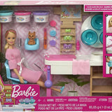 Barbie Yüz Bakımı Yapıyor Oyun Seti GJR84 | Toysall