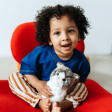 Bon Ton Toys B.T. Chaps Amelie the Scottisch Fold Kutulu Peluş Oyuncak 17 cm 32179010