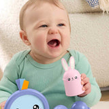 Fisher-Price Denge Kuşu JLG00