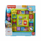 Fisher Price Eğitici Köpekçiğin Oyun İstasyonu HRB70 | Toysall