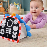 Fisher-Price Eğlenceli Kirpi Ayna JHB45