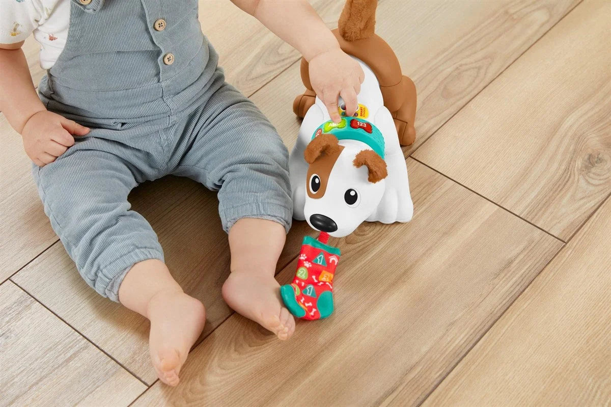 Fisher Price Emeklemeyi ve Saymayı Öğreten Köpekçik HHH13 | Toysall