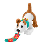 Fisher Price Emeklemeyi ve Saymayı Öğreten Köpekçik HHH13 | Toysall