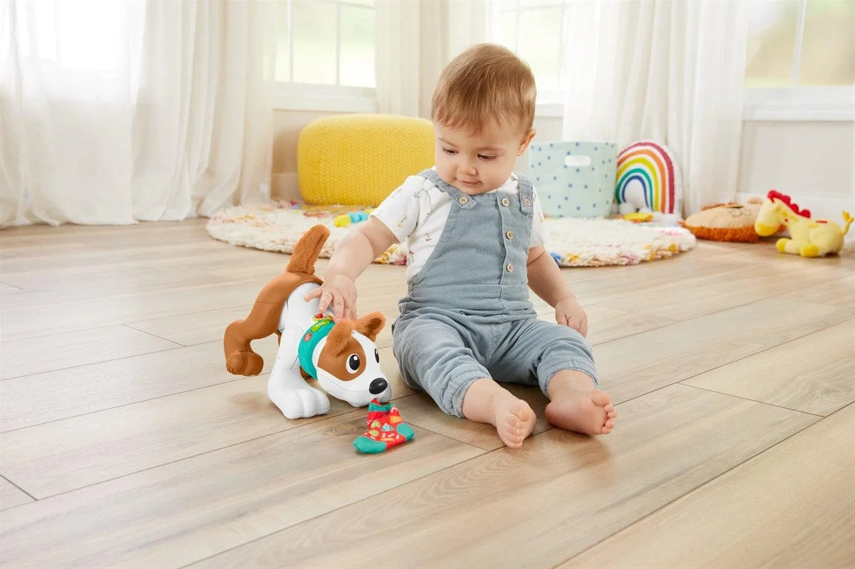 Fisher Price Emeklemeyi ve Saymayı Öğreten Köpekçik HHH13 | Toysall