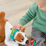 Fisher Price Emeklemeyi ve Saymayı Öğreten Köpekçik HHH13 | Toysall