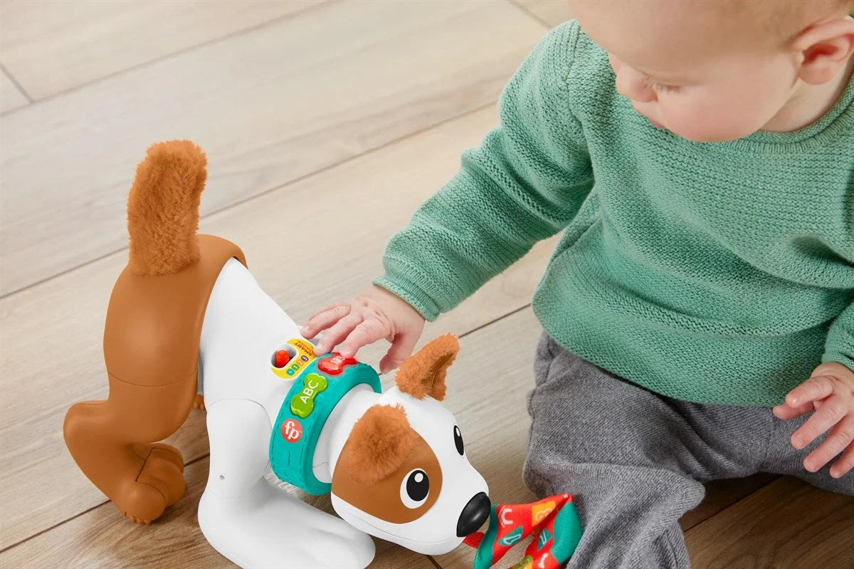 Fisher Price Emeklemeyi ve Saymayı Öğreten Köpekçik HHH13 | Toysall