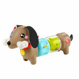 Fisher Price Köpekçikle Eğlenceli Aktiviteler  HTW91