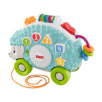 Fisher Price Linkimals Sevimli Kirpi Müzikli Bebek Oyuncağı GJB12 | Toysall