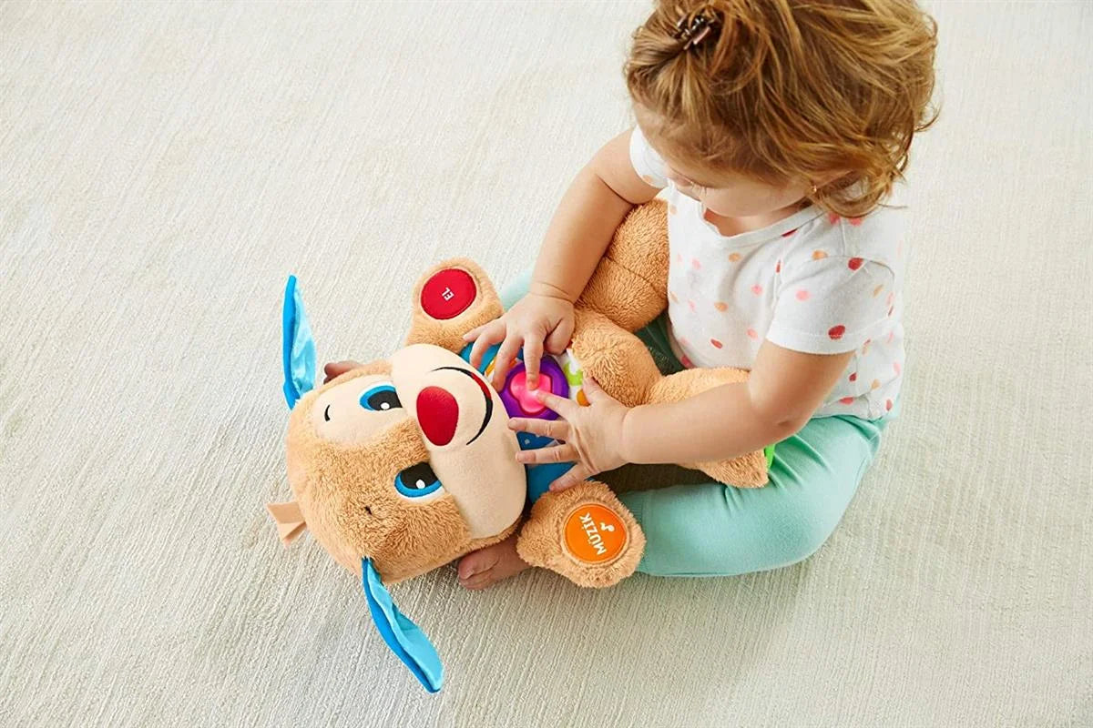 Fisher Price Yaşa Göre Gelişim Eğitici Köpekçik FPN79 | Toysall