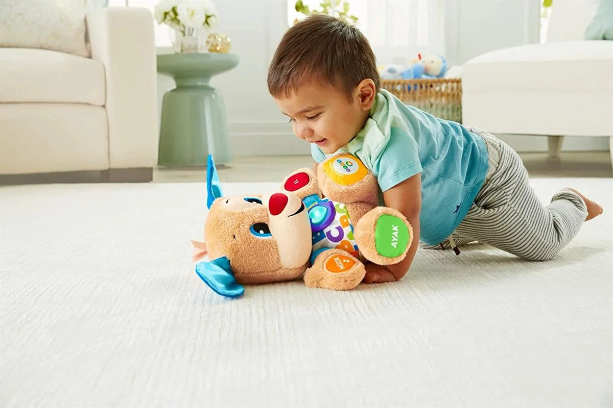 Fisher Price Yaşa Göre Gelişim Eğitici Köpekçik FPN79 | Toysall