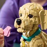 Lego Icons Yavru Golden Retriever 11384