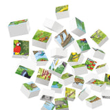 Hubelino 35 Parça Puzzle Tropikal Yağmur Ormanında Vahşi Yaşam 410177
