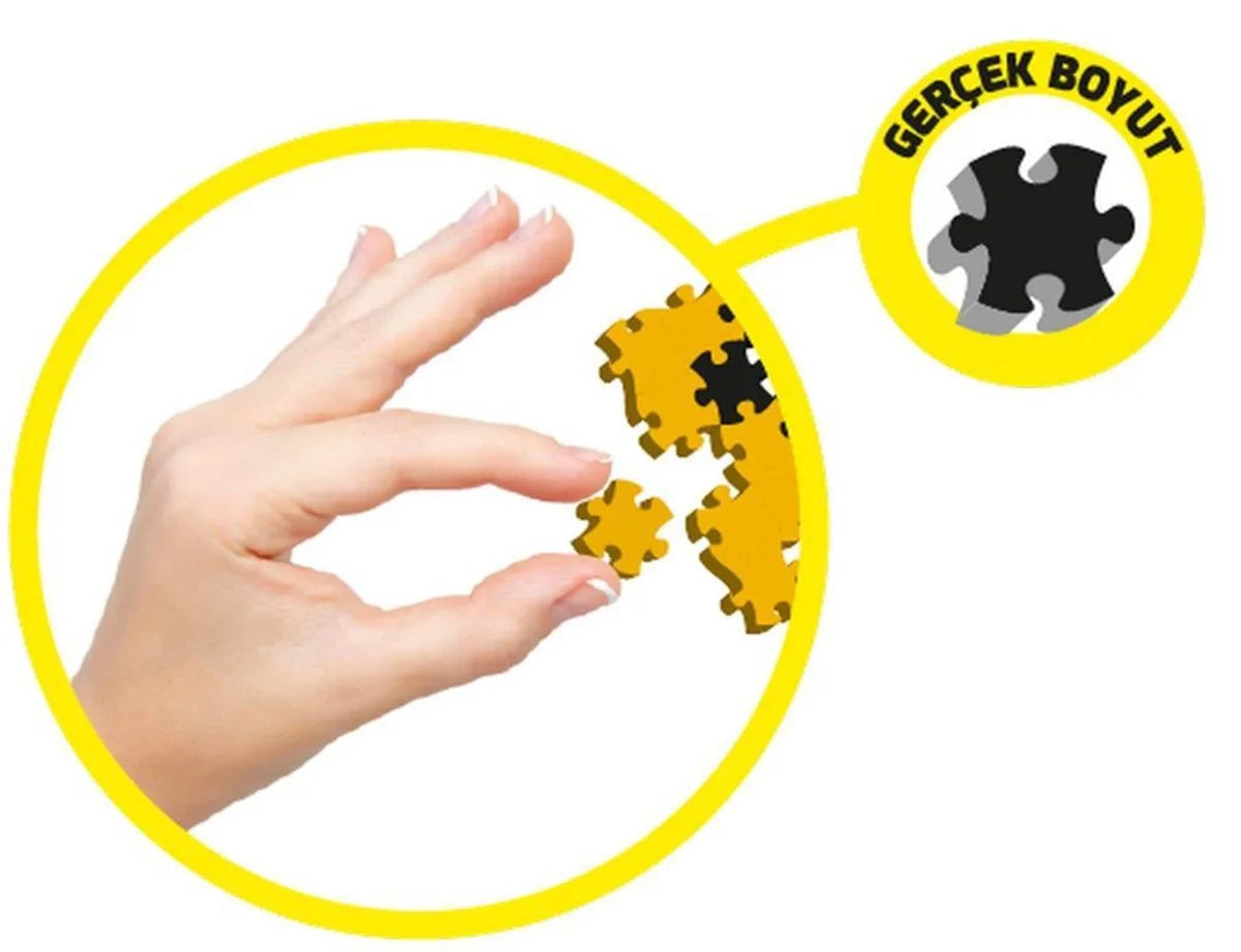 JIXAW Unicorn & Deniz Kızı JX216046 | Toysall