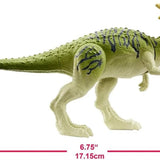 Jurassic World Dinozor Figürleri - Dracorex FPF11-GJN62 | Toysall
