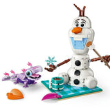 Lego Disney Olaf ve Bruni'nin Piknik Eğlencesi 43287