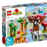 Lego Duplo Vahşi Asya Hayvanları 10974 | Toysall