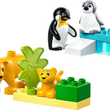 Lego Duplo Vahşi Hayvan Aileleri: Penguenler ve Aslanlar 10442