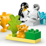 Lego Duplo Vahşi Hayvan Aileleri: Penguenler ve Aslanlar 10442