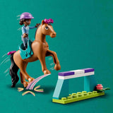 Lego Friends At Eğitimi 41746 | Toysall