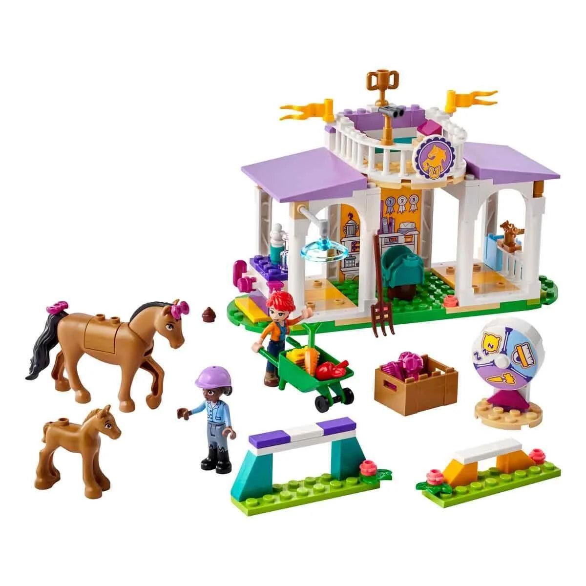 Lego Friends At Eğitimi 41746 | Toysall