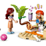 Lego Friends Sörfçü Köpekler ve Scooter Macerası 42641