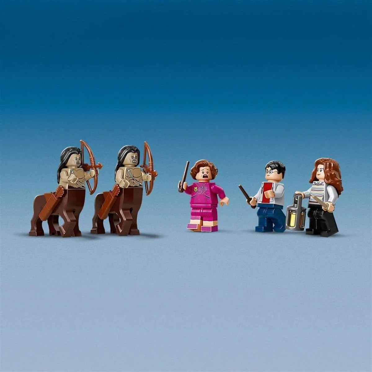 Lego Harry Potter Yasak Orman: Grawp ve Umbridge'in Karşılaşması 75967 | Toysall