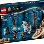 Lego Harry Potter Yasak Orman: Sihirli Yaratıklar 76432 | Toysall