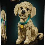 Lego Icons Yavru Golden Retriever 11384