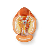 Mambobaby Yüzme Simidi - Orange, Emniyetli, Gölgelikli ve Ayak Destekli
