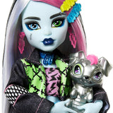 Monster High Ana Karakter Bebekler Frankie Stein HPD53-HXH73