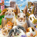 Ravensburger 100 Parça Puzzle Rabbit Selfie 109494 | Toysall