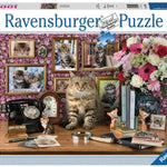 Ravensburger 1000 Parça Puzzle Cute Kitty 159949 | Toysall