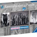 Ravensburger 1000 Parça Puzzle Panter Fil Aslan 167296 | Toysall