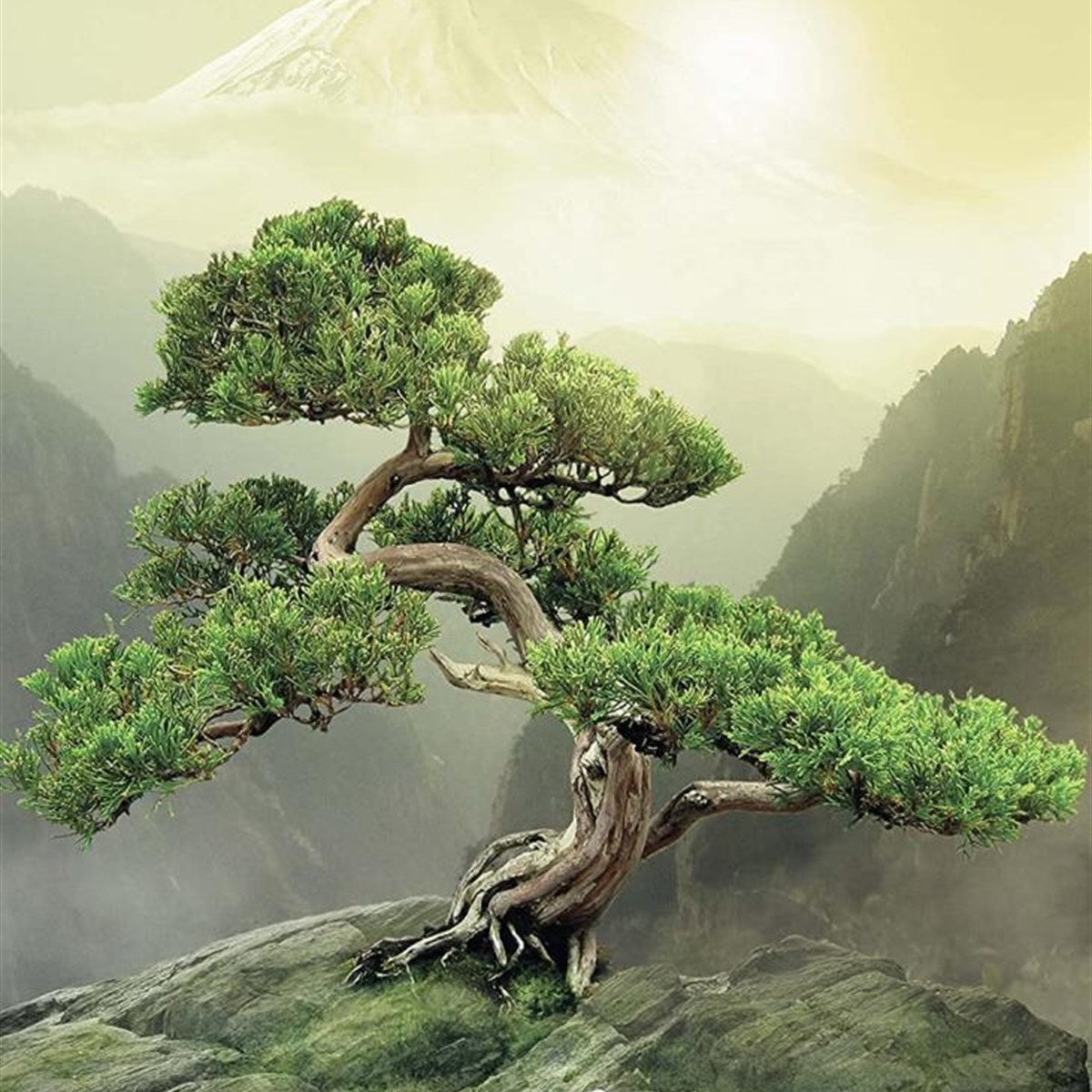 Ravensburger 1000 Parça Puzzle Zen Ağacı 193899 | Toysall
